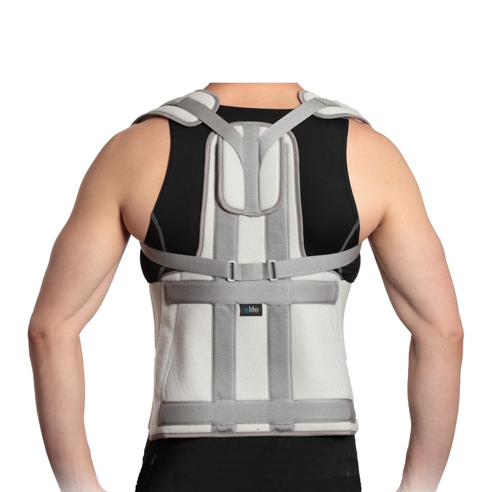 Dorsal Lumbar Support